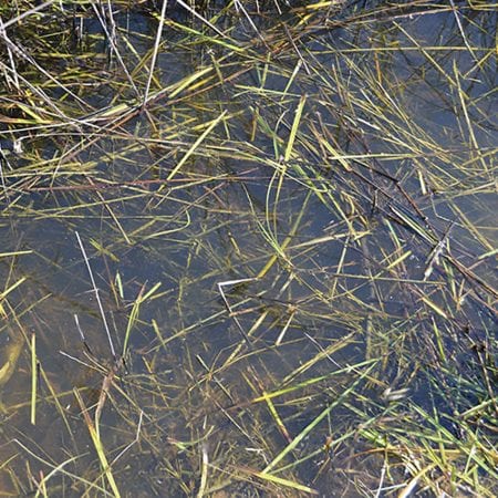 AK Interactive Still Water - 250ml - Image 2